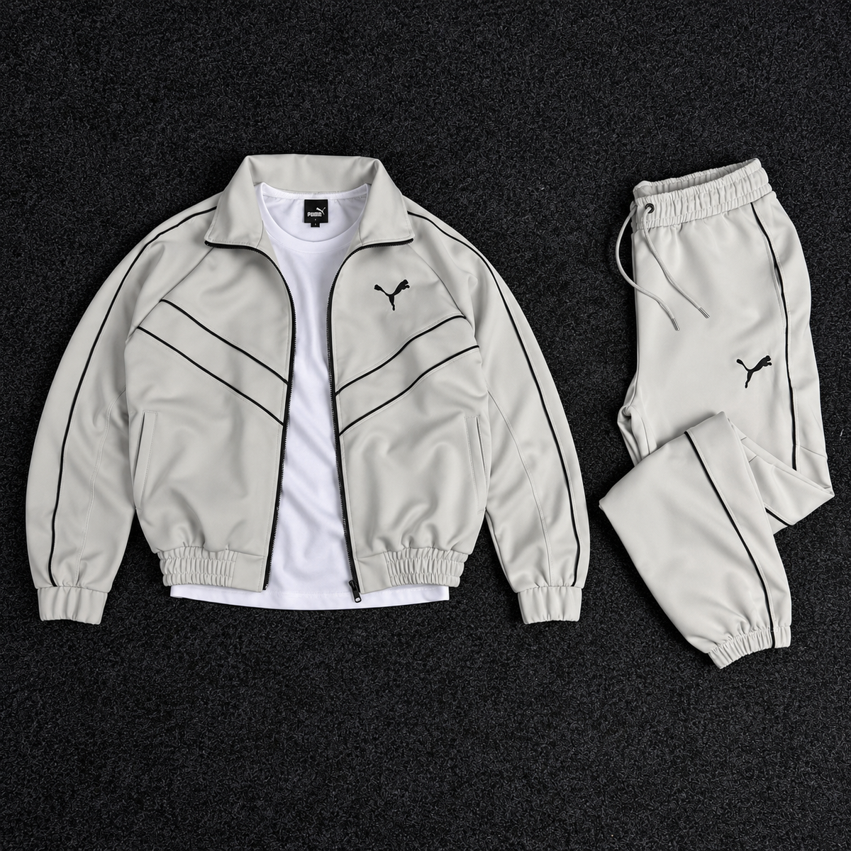 PUMA ENSEMBLE OBS