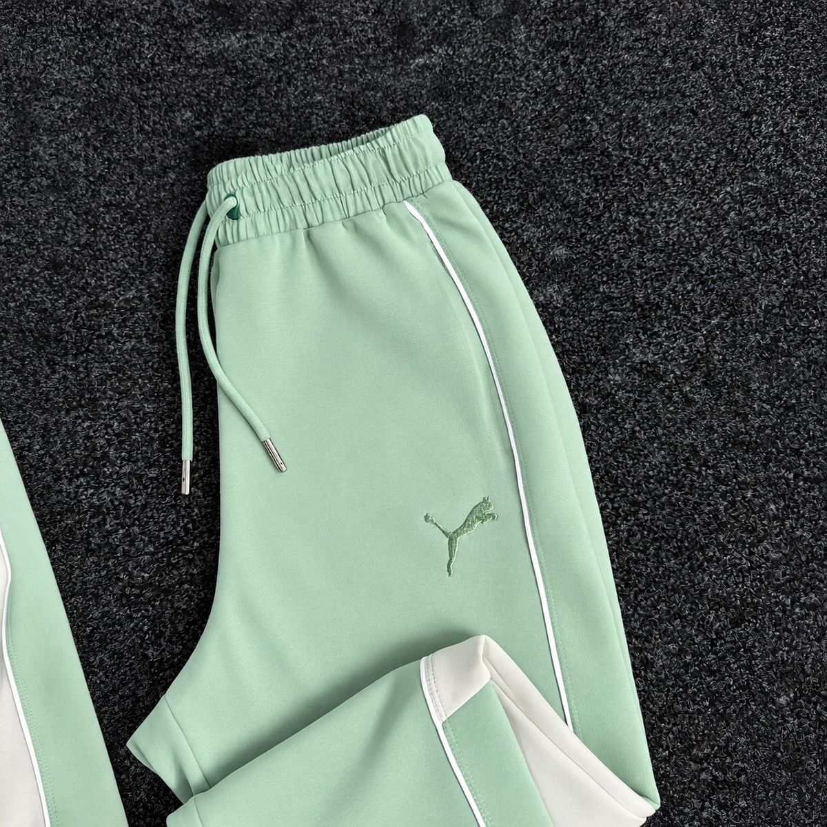 PUMA ENSEMBLE OBS