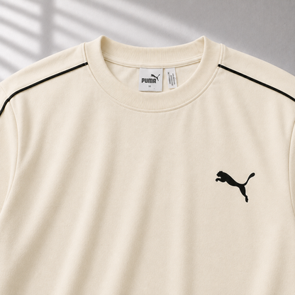 PUMA-Ensemble Filaro