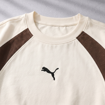 PUMA-Ensemble Arena