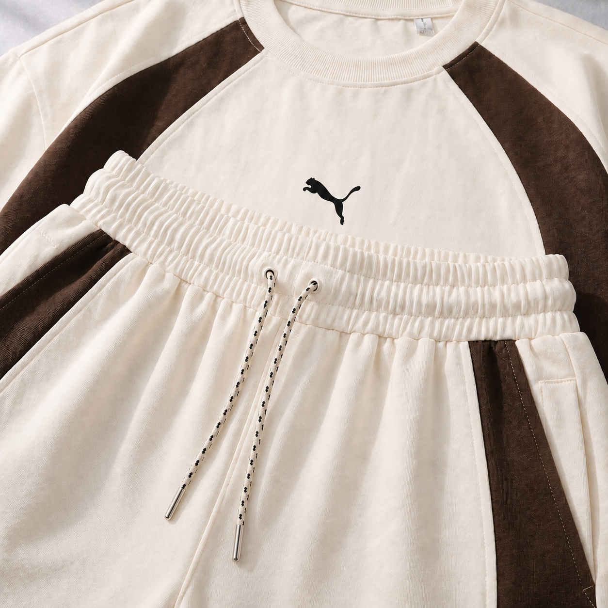 PUMA-Ensemble Arena