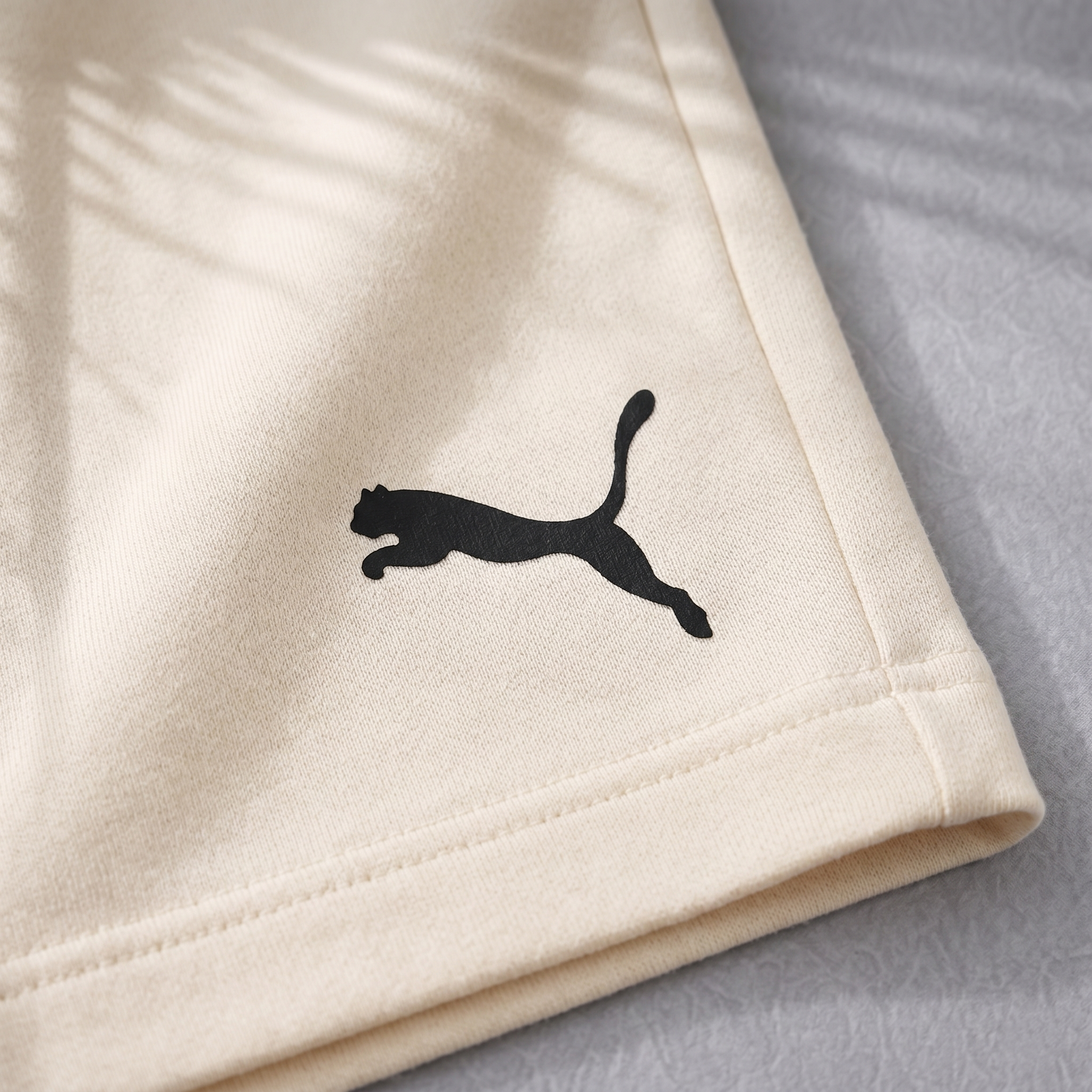 PUMA-Ensemble Filaro