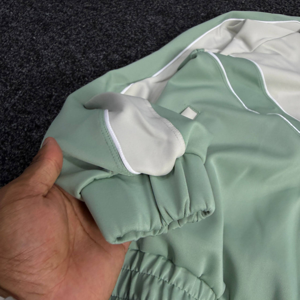 PUMA ENSEMBLE OBS