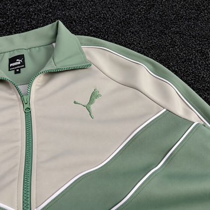 PUMA ENSEMBLE OBS