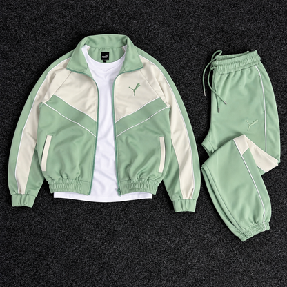 PUMA ENSEMBLE OBS