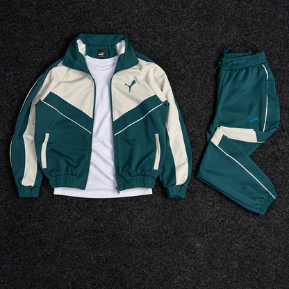 PUMA ENSEMBLE OBS