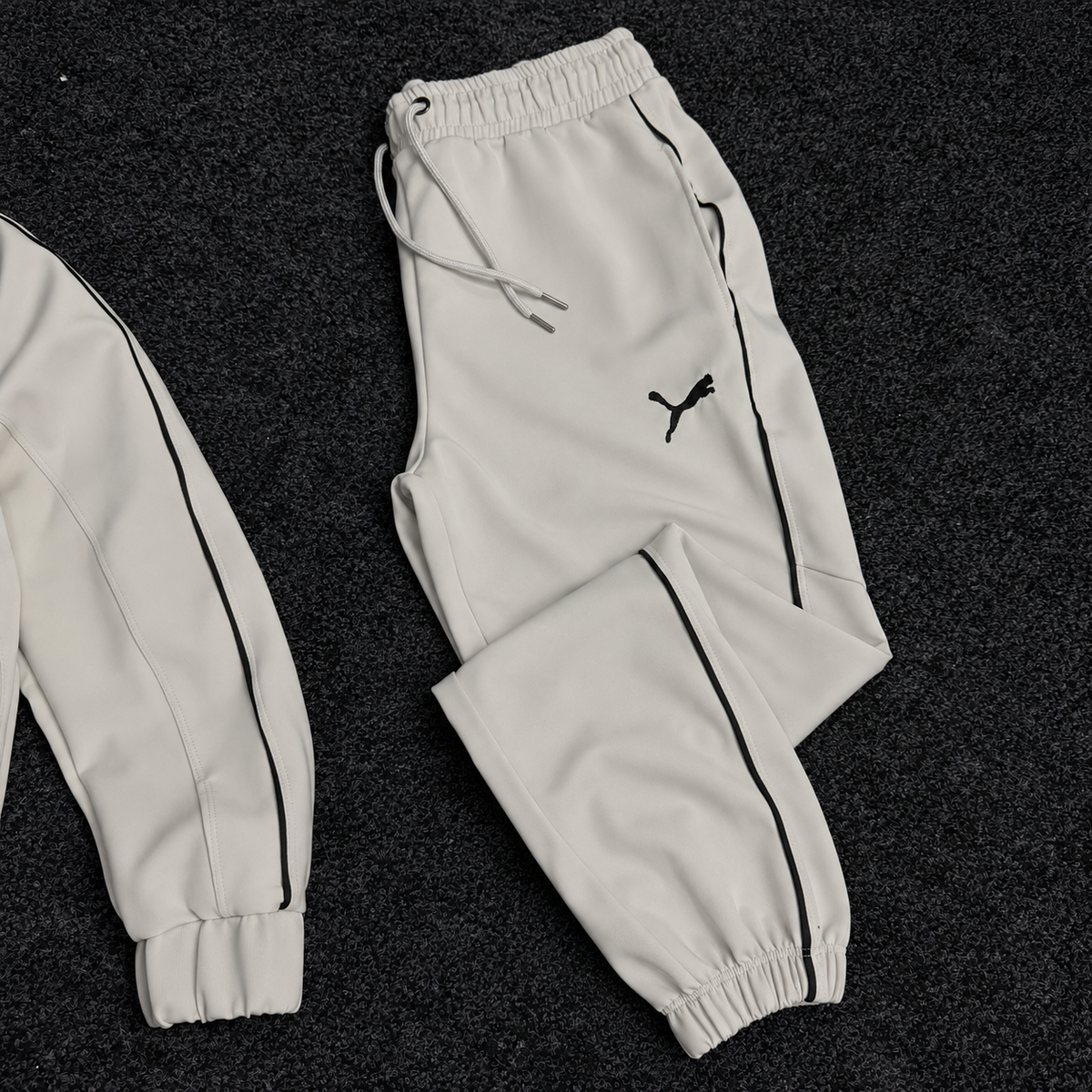 PUMA ENSEMBLE OBS