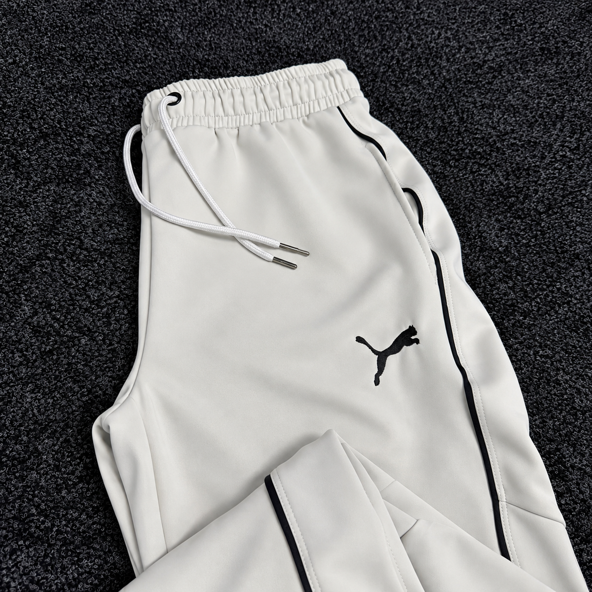 PUMA ENSEMBLE OBS