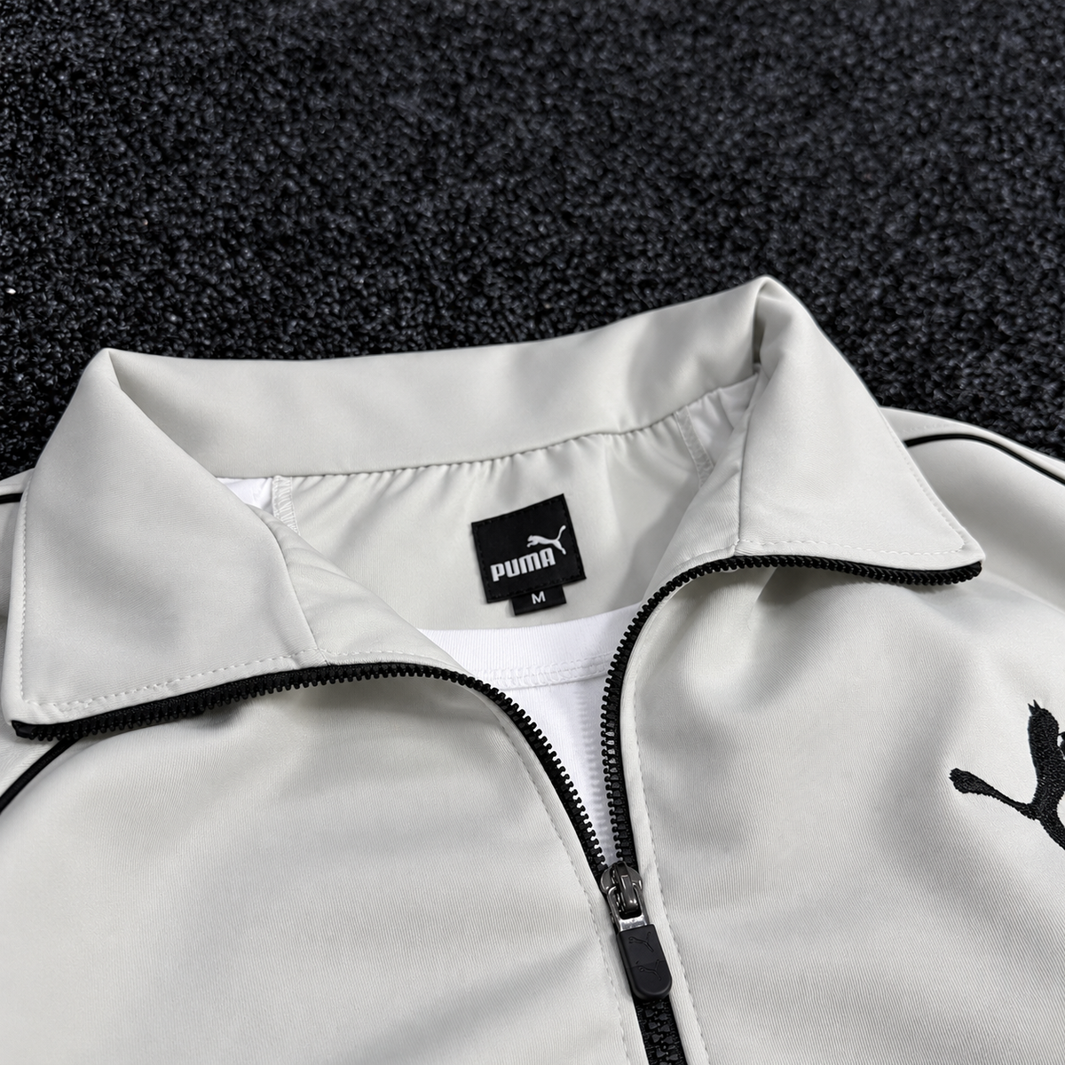 PUMA ENSEMBLE OBS
