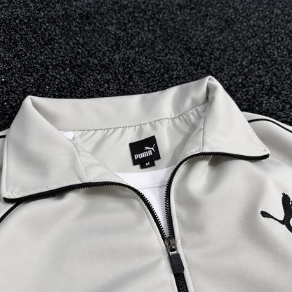 PUMA ENSEMBLE OBS