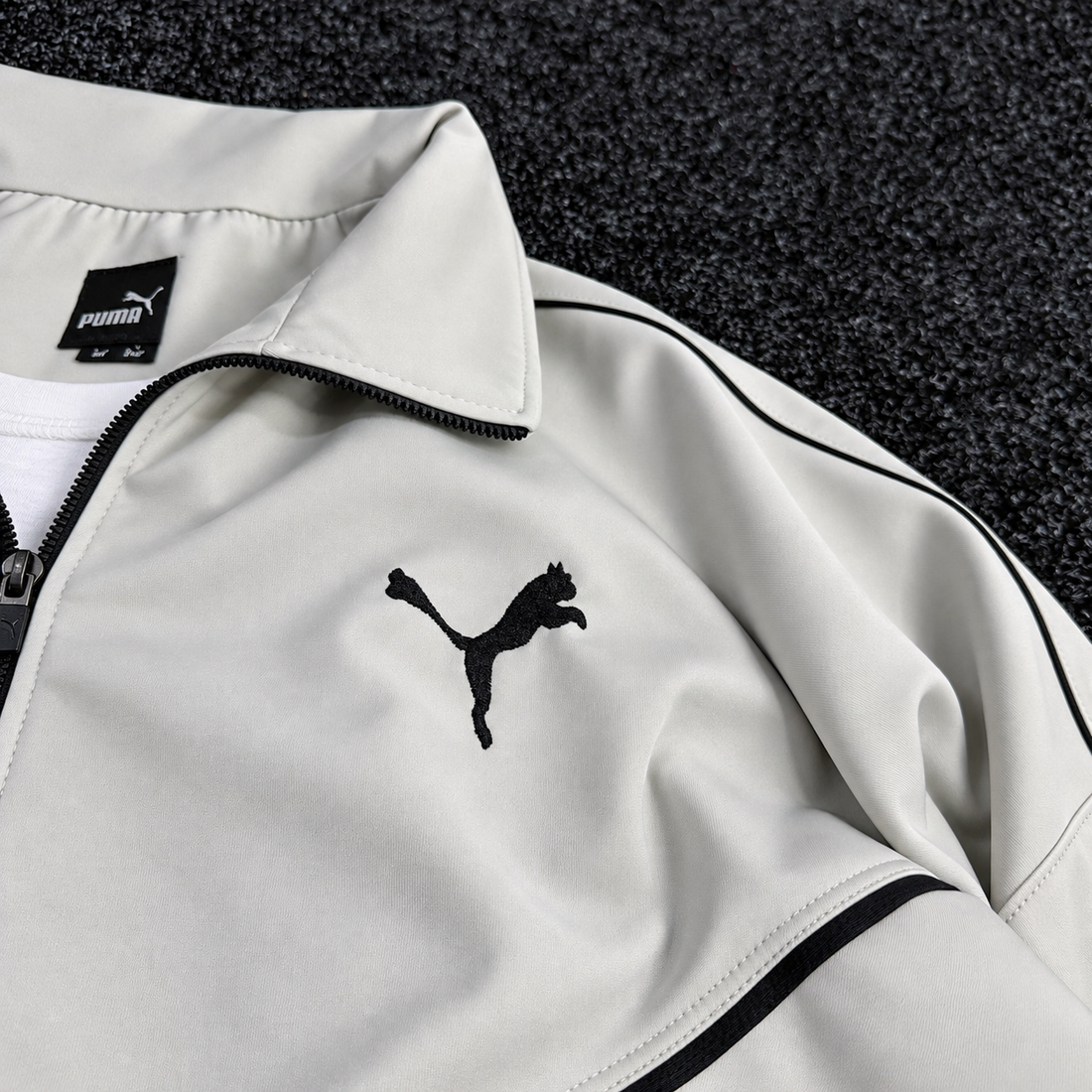 PUMA ENSEMBLE OBS
