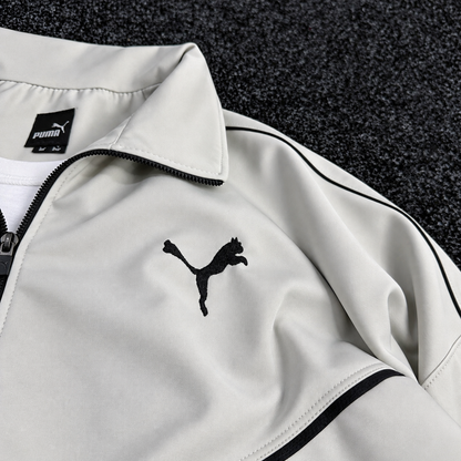 PUMA ENSEMBLE OBS
