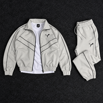 PUMA ENSEMBLE OBS