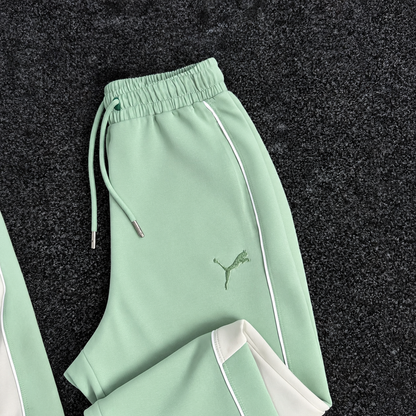 PUMA ENSEMBLE OBS